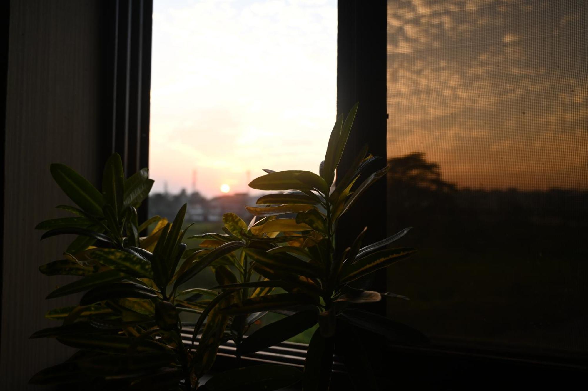 The Cabin By The Bayou Bed & Breakfast Guwahati Ngoại thất bức ảnh